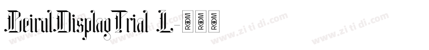 BeirutDisplayTrial L字体转换 BeirutDisplayTrial L字体转换